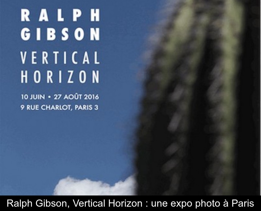 découvrez l'exposition photo 'horizon vertical', un voyage visuel immersif qui explore la verticalité à travers des paysages fascinants et des perspectives inédites. plongez dans une collection d'œuvres captivantes qui défient les conventions et offrent une nouvelle façon de percevoir notre environnement.