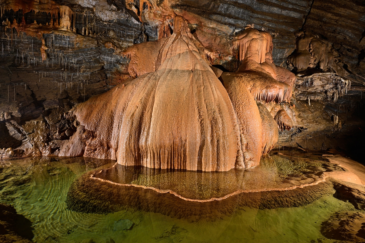 découvrez l'exposition photo cabrespine, un voyage visuel captivant à travers les paysages et la culture de cette région unique. plongez dans l'univers des photographes talentueux qui capturent l'essence de cabrespine à travers leurs œuvres, et laissez-vous inspirer par la beauté authentique de ce lieu exceptionnel.