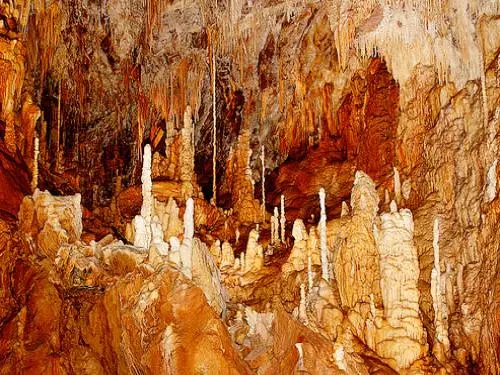 découvrez l'exposition photo à cabrespine, un voyage visuel captivant à travers des paysages époustouflants et des portraits évocateurs. plongez dans l'univers artistique des photographes locaux et laissez-vous inspirer par la beauté de la nature et de l'humain.