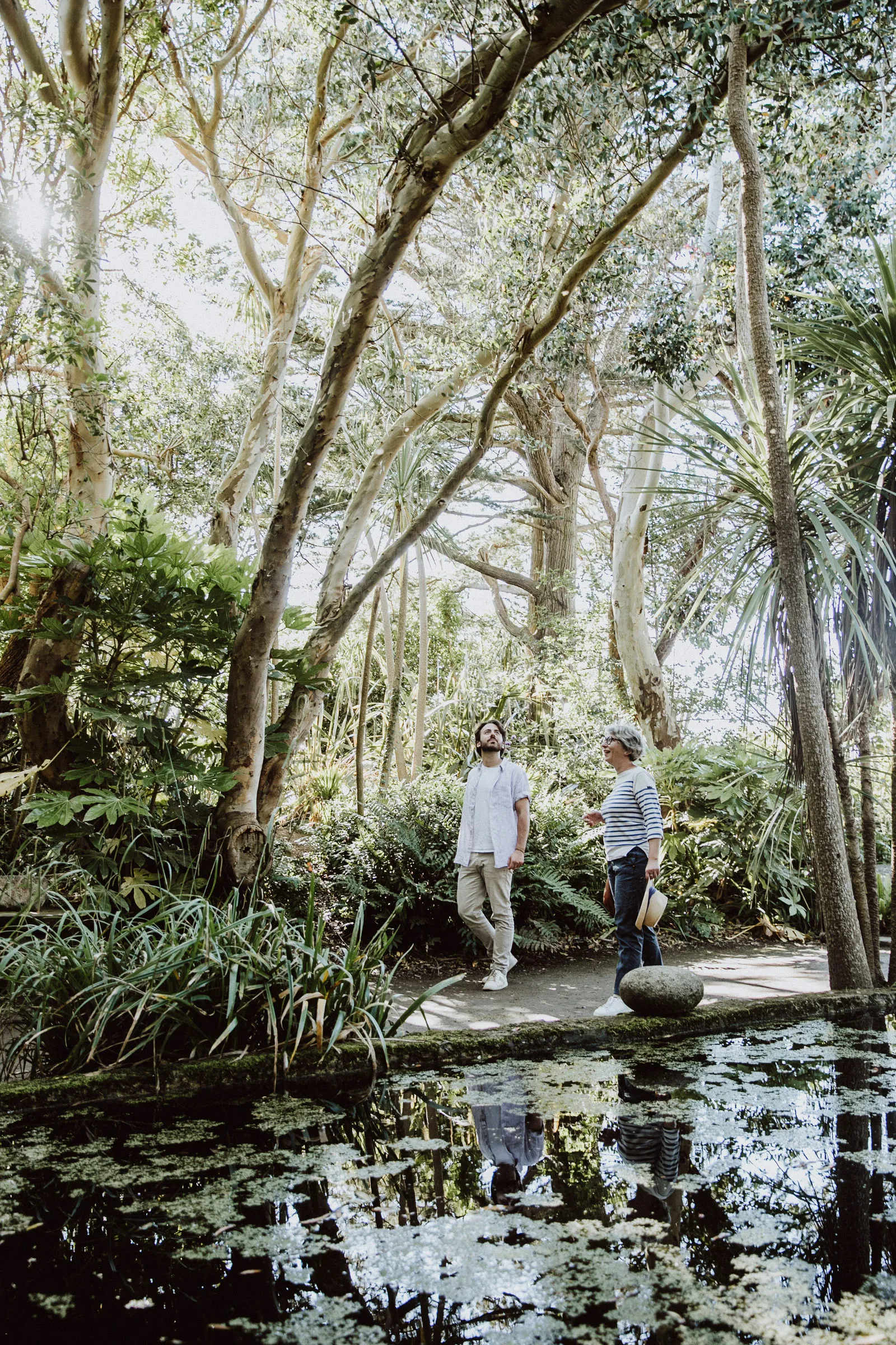 découvrez les lauréats des concours de jardins 2025 : innovations végétales, projets paysagers et créateurs passionnés distingués cette année. inspirez-vous des plus beaux jardins primés !