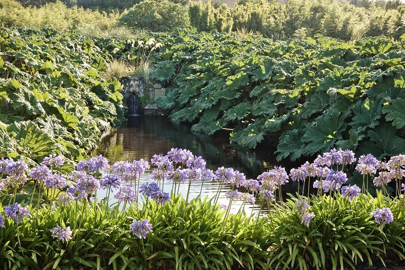 découvrez les lauréats des jardins 2025 : talents remarqués, projets innovants et inspirations pour embellir vos espaces verts. consultez la liste officielle et leurs réalisations primées.