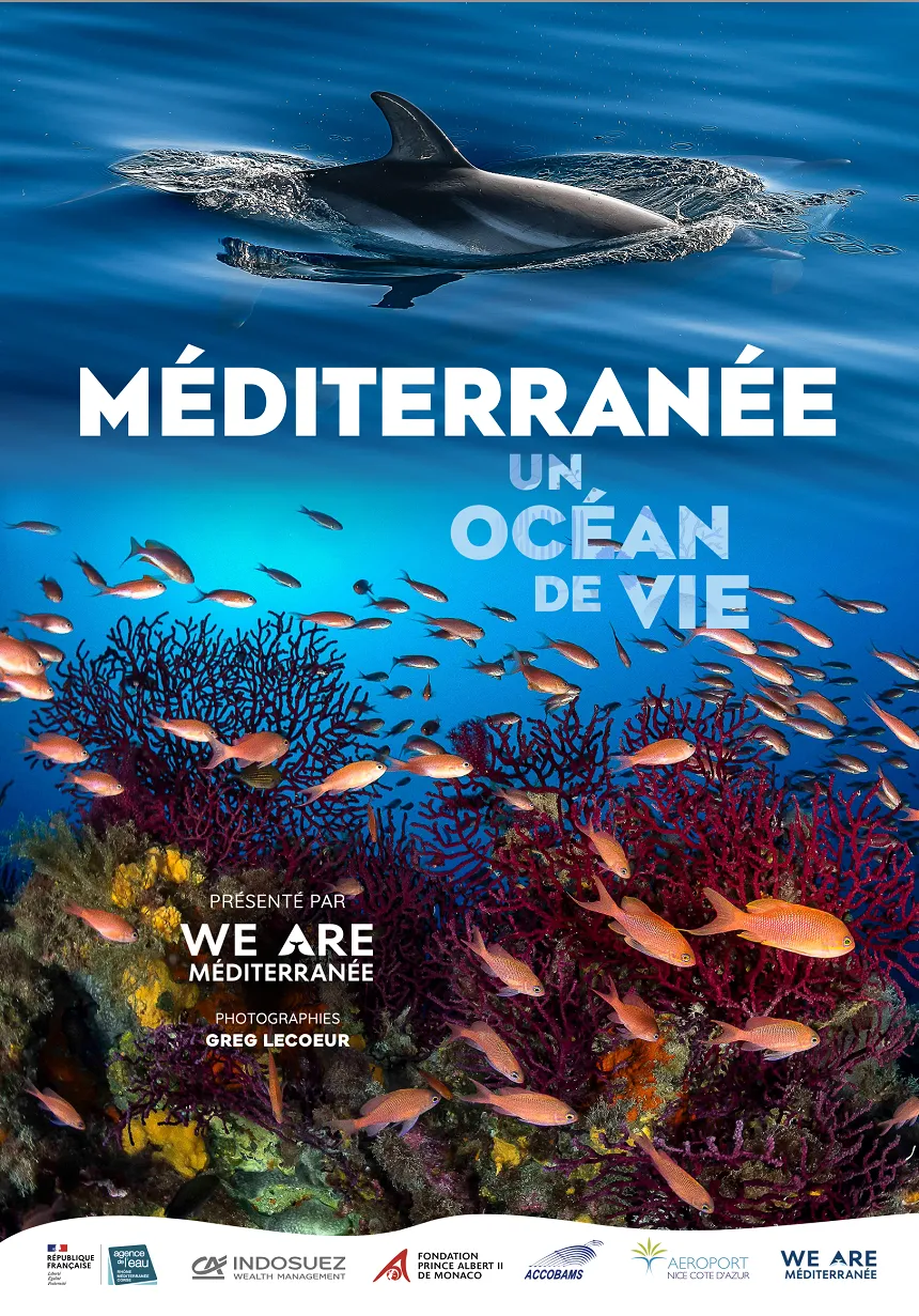 découvrez l'exposition photographique 'accès mer', une immersion visuelle unique mettant en lumière la beauté et la diversité du littoral à travers des clichés inspirants. plongez dans l'univers marin et laissez-vous transporter par le regard des photographes sur la mer et ses rivages.