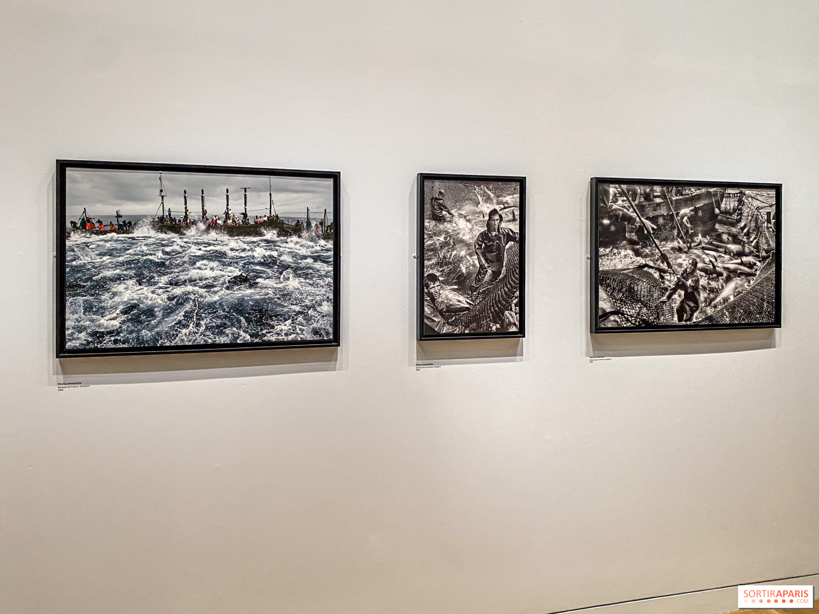 découvrez l'exposition photographique 'accès mer', une exploration visuelle des littoraux et de la beauté maritime. plongez dans des œuvres inspirantes qui célèbrent l'accès à la mer et ses paysages uniques.