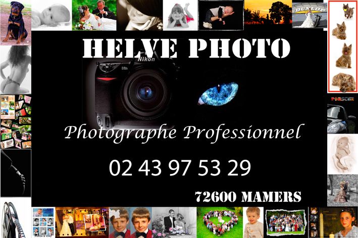 découvrez à mamers une photographie vivante qui capture l’essence du quotidien, les moments uniques et l’atmosphère authentique de la ville à travers des images artistiques et inspirantes.