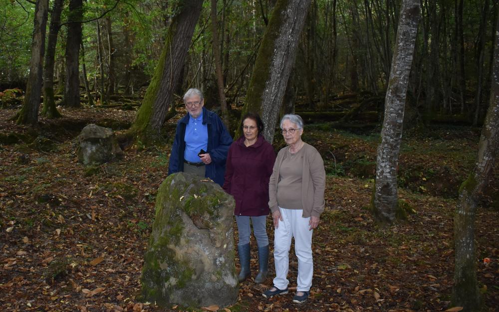 découvrez une expérience immersive avec l'exposition de marie seillery, qui vous transporte au cœur de la forêt à travers des œuvres uniques mêlant art et nature.