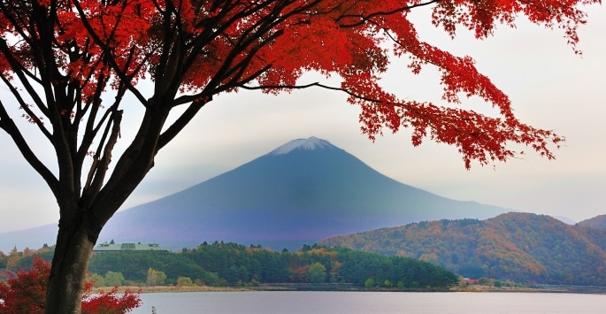 partez à l'aventure photo au japon et immortalisez des paysages époustouflants, des temples anciens et la culture nippone authentique à travers votre objectif. vivez un voyage inoubliable pour passionnés de photographie !