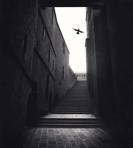 découvrez la rétrospective photo de michael kenna à nice, une exposition captivante mettant en lumière l'œuvre poétique et minimaliste du célèbre photographe.