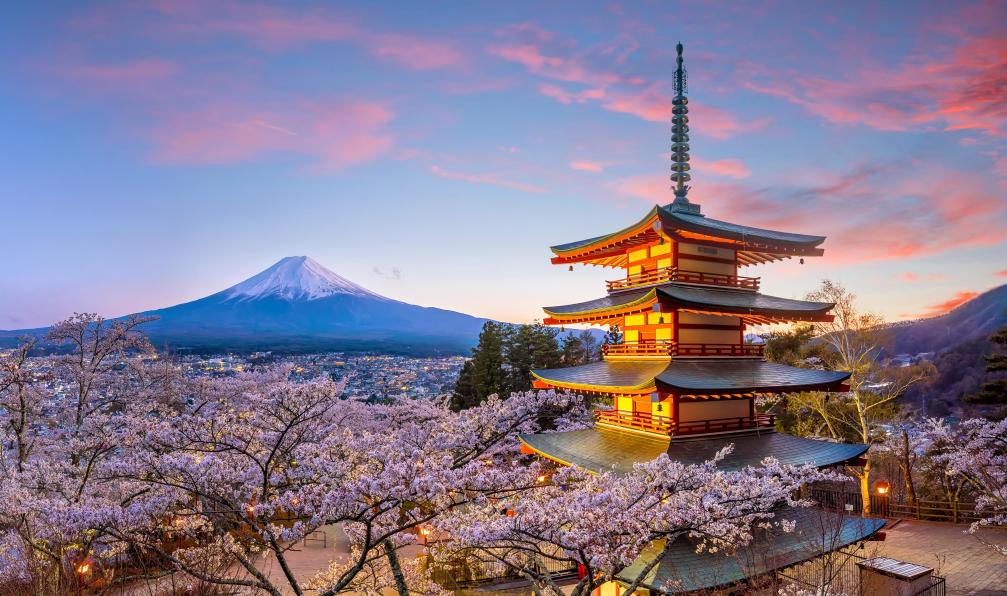 partez à la découverte du japon à travers une aventure photographique unique. entre paysages époustouflants, temples ancestraux et vie urbaine animée, capturez la magie du japon et vivez des moments inoubliables à chaque étape de votre voyage photo.