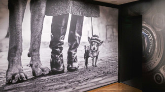 découvrez le retour sur la 3e expo photo leyme, une exposition inspirante mettant en lumière des images captivantes et émouvantes.