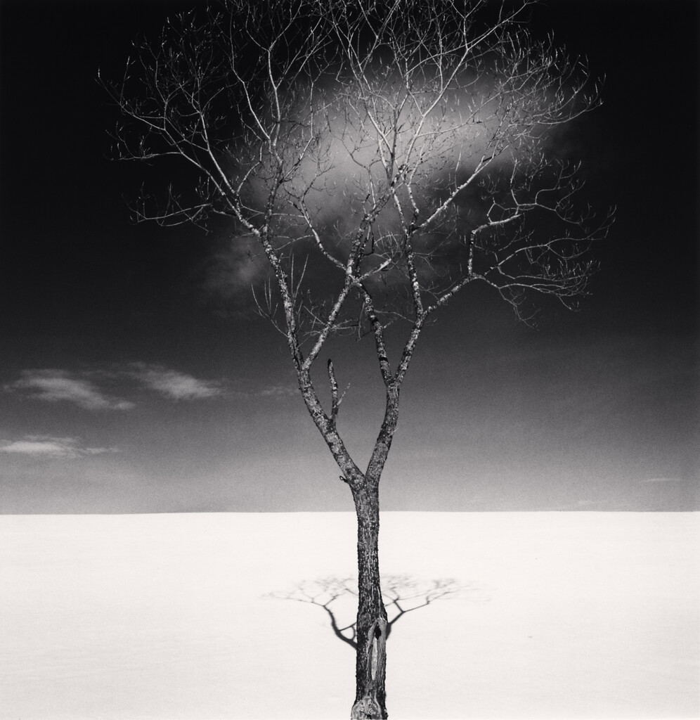 découvrez la rétrospective photo de michael kenna à nice, une exposition incontournable qui met en lumière l'art intemporel du célèbre photographe.