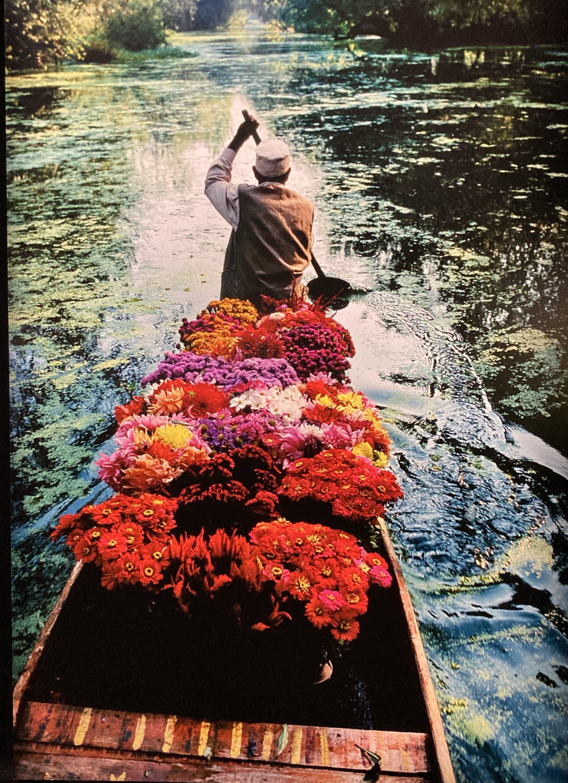 découvrez l'atelier photo controversé de steve mccurry en birmanie, une immersion unique mêlant art, culture et débats éthiques autour de la photographie documentaire.