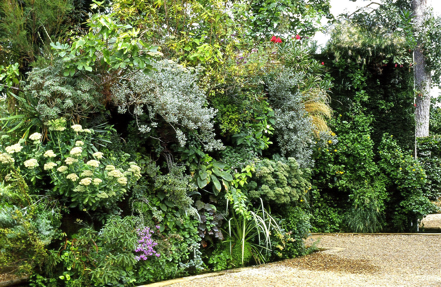 découvrez les plantes futuristes exposées au château de chaumont-sur-loire, une expérience unique alliant nature et innovation au cœur d'un site historique.