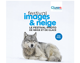 découvrez le guide complet des œuvres présentées au festival de montier-en-der, un événement incontournable pour les passionnés d'art et de nature. explorez les expositions, les artistes et les temps forts du festival.