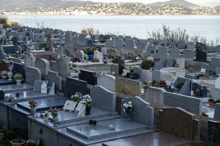 découvrez notre hommage émouvant à brigitte bardot, symbole de la protection animale, avec un adorable bébé phoque. un clin d'œil touchant à son engagement.