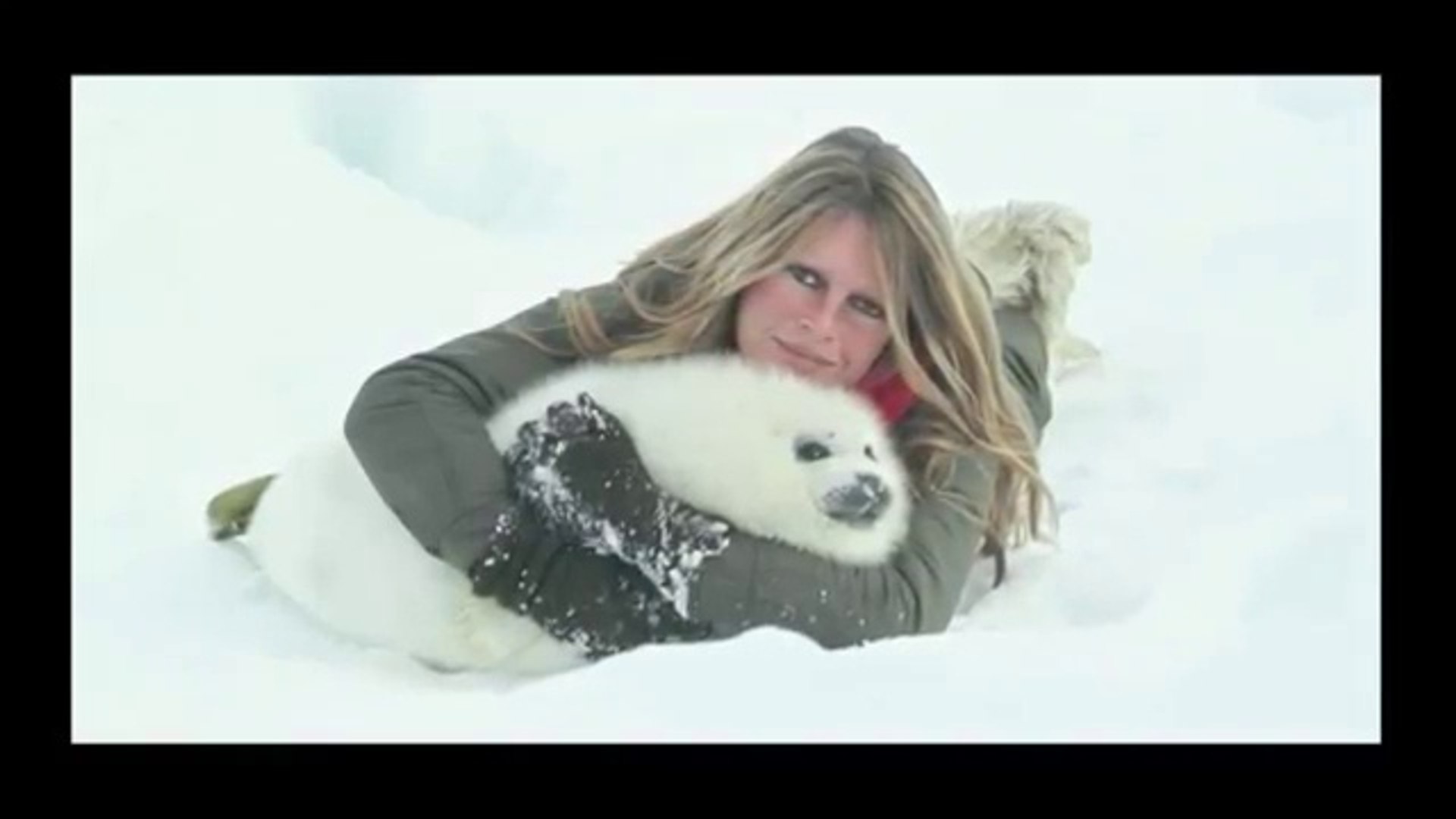 découvrez un hommage émouvant à brigitte bardot, symbole de protection animale, accompagné d'un adorable bébé phoque dans cette vidéo touchante.