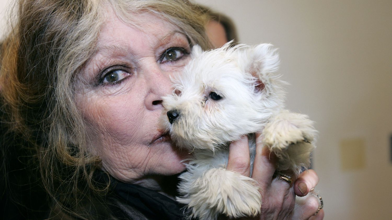 découvrez un hommage émouvant à brigitte bardot, défenseuse passionnée des animaux, accompagné d'une adorable image de bébé phoque.