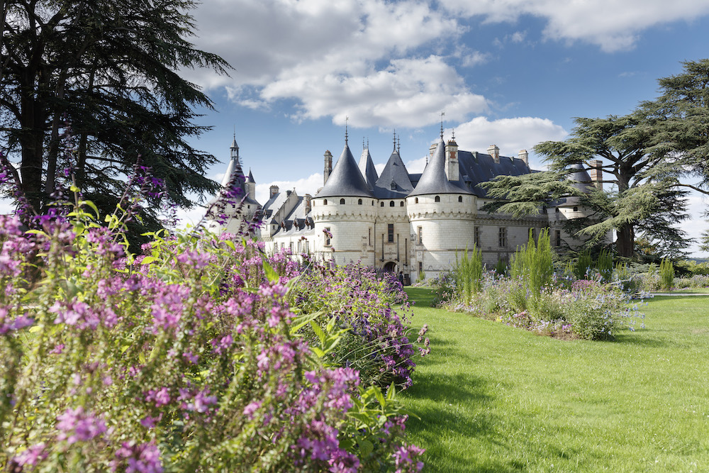 découvrez les plantes futuristes présentées au château de chaumont-sur-loire, une exposition unique alliant innovation botanique et patrimoine historique.