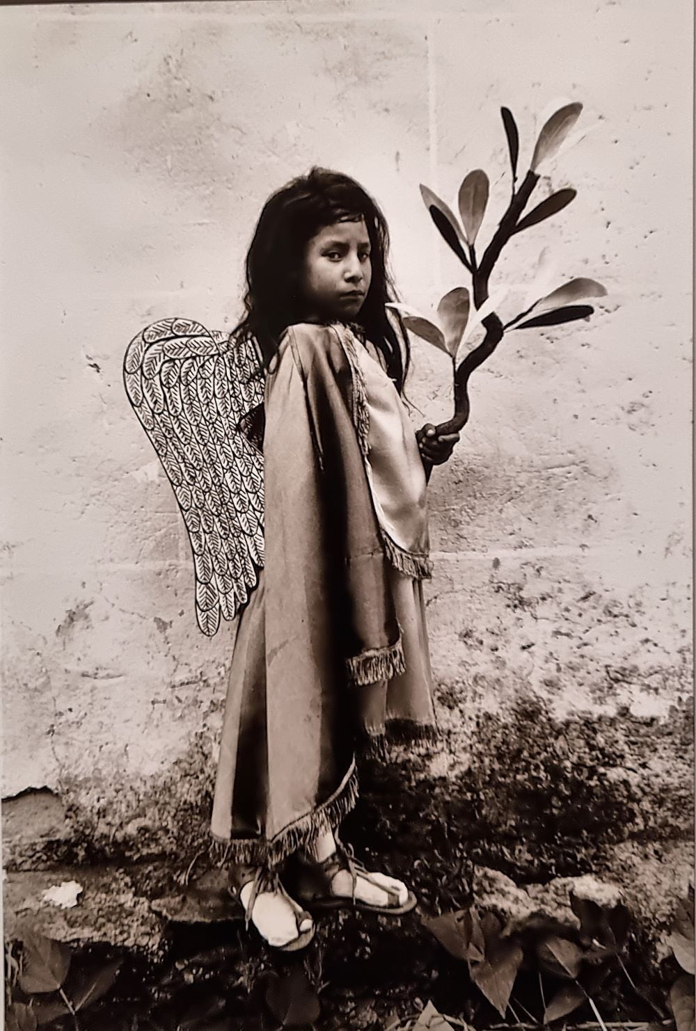 découvrez l'exposition de la célèbre photographe graciela iturbide à berlin, mettant en lumière son œuvre marquante et son regard unique sur la culture et la vie quotidienne.