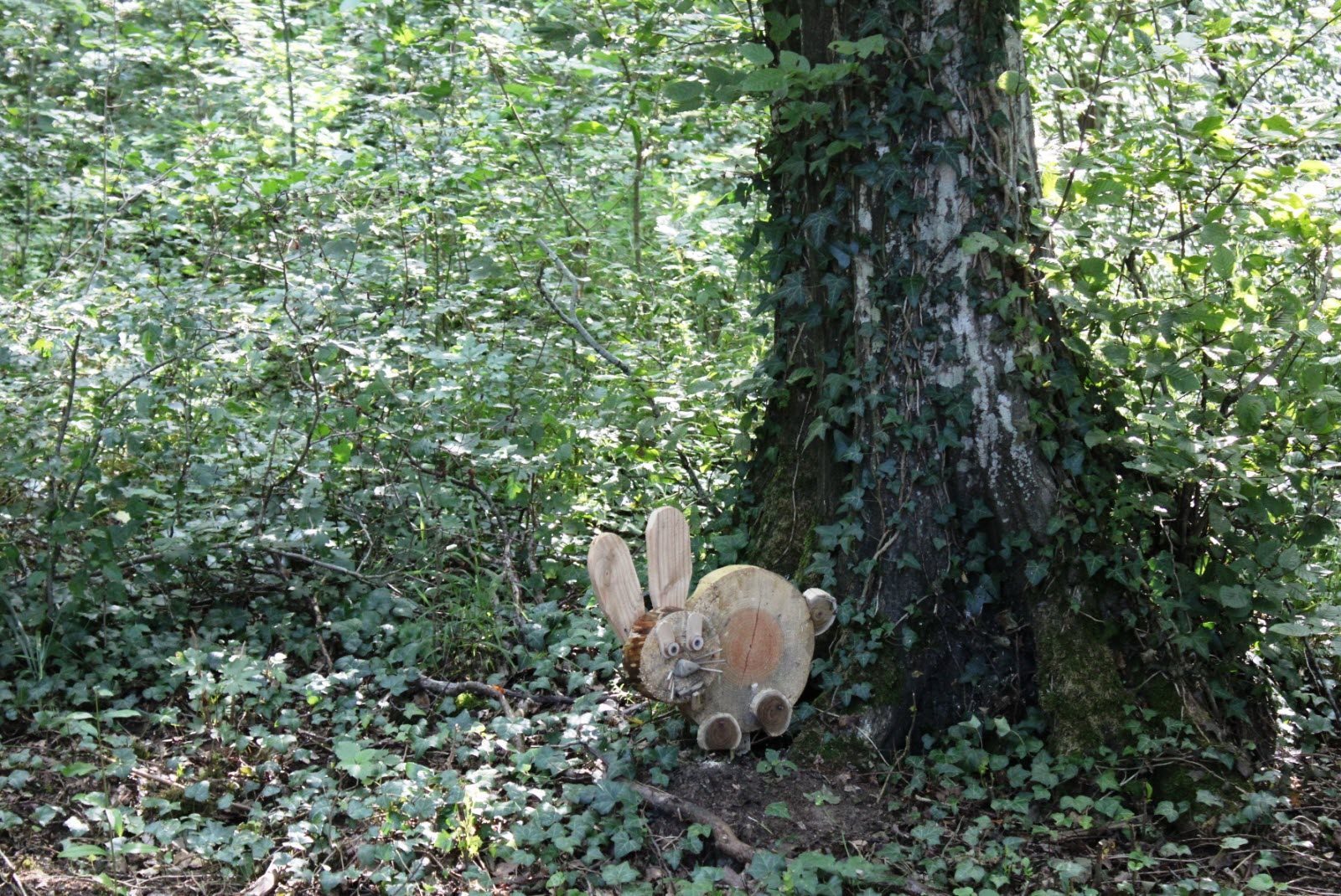 découvrez la classe magique en forêt des fées à batilly : une expérience enchantée pour éveiller l'imagination des enfants au cœur de la nature.