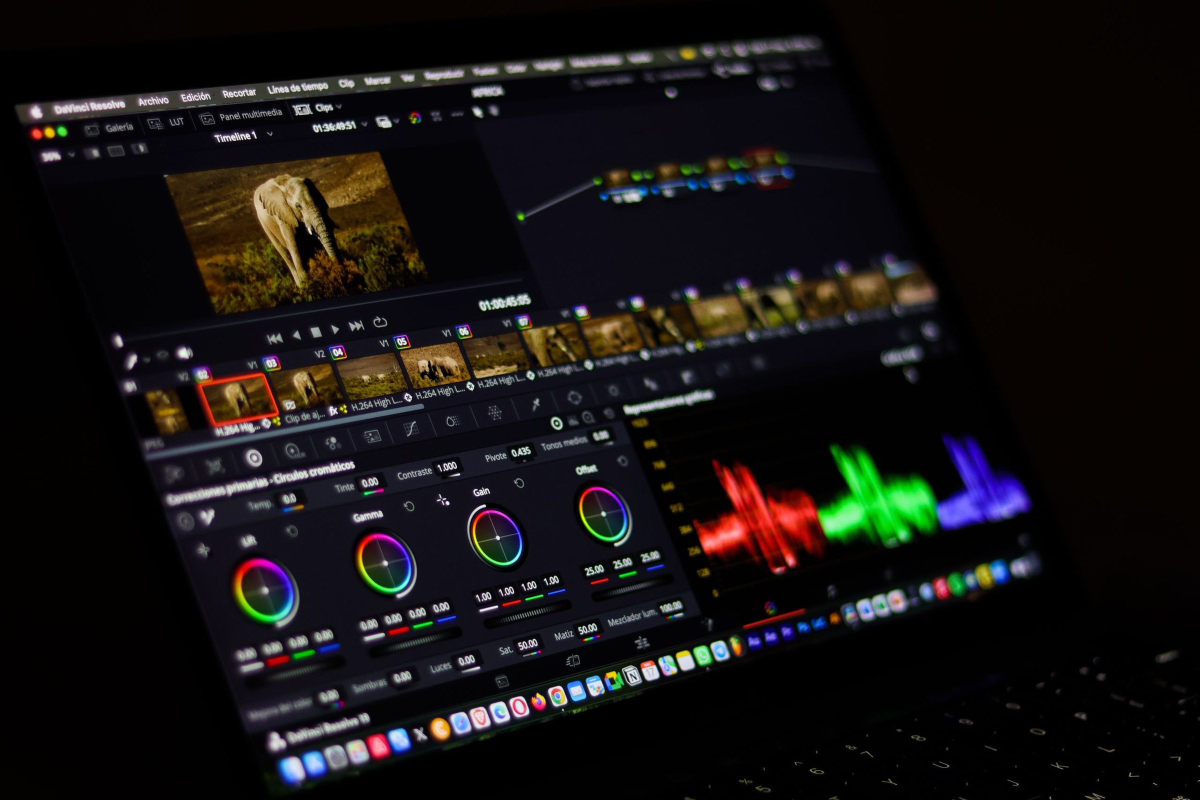 Capture d'écran vidéo montrant l'utilisation des vidcaps sur un ordinateur